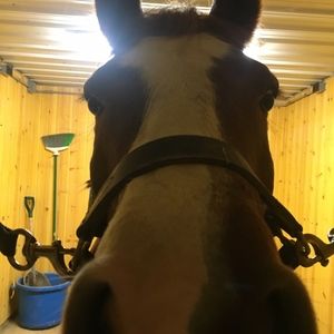 Meet your Posher, Konnie